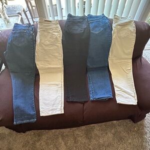 Gloria Vanderbilt jean pants.